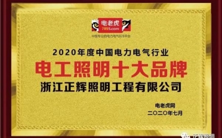 品牌榮譽！祝賀浙江正輝照明榮膺2020年“電工照明十大品牌”